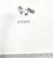 Click for 1 image(s) for this accession. FRUIT